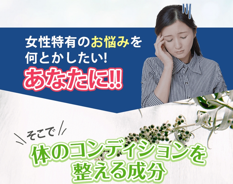 �@�ׂȏ����Ƀ��t���b�V���`�F�X�g�c���[/�s�N�m�W�F�m�[�����T�C�g